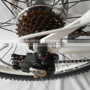 Cheap Steel New Model Mountain Bike /MTB Bicycle
