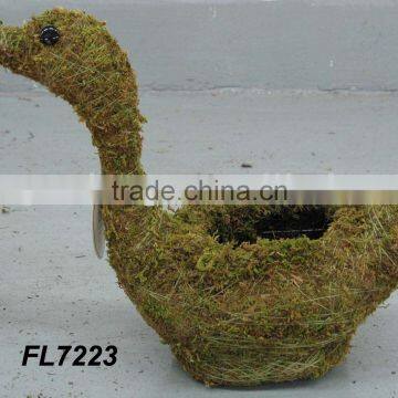 Moss Duck Planter