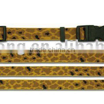 3/4" Nylon Dog Collar/Leash