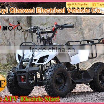 QWMOTO Cheap 49cc mini hunter atv 49cc kids atv 49cc Buggy 49cc quad atv with Electric Start/QWMATV-01E