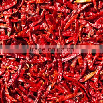 Red Chilli