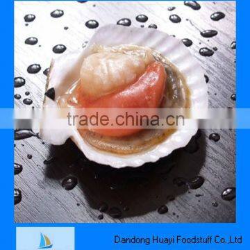 Frozen boiled scallop