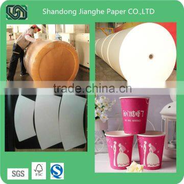 paper for coffee paper cup/paper cup fan for cup/PE coated paper