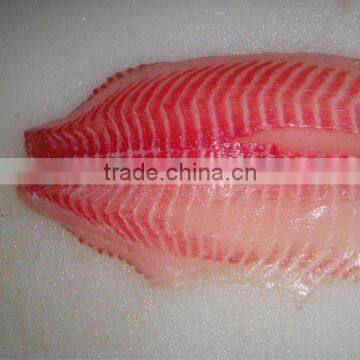 frozen tilapia fillet