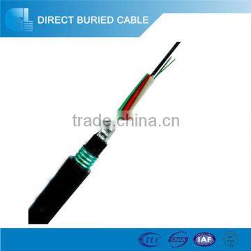 3 Meters Free Sample GYTA53 144 Cores Direct Burial Fiber Cable photo-3