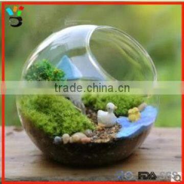 Water Terrarium Ball Shape Dia 8cm - 20cm Micro Landscape Glass Plant Pot