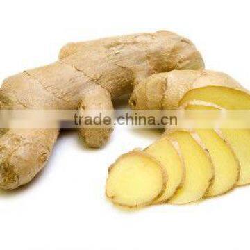 Fresh ginger