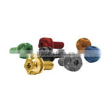 Torx Screw