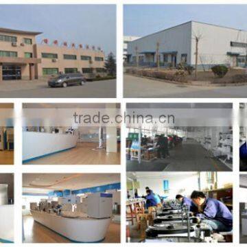 450L Lighting Incubator and Artificial Climate Incubators