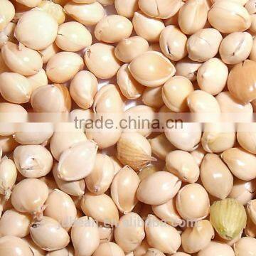 high quality white broomcorn millet (glutinous broom corn/proso millet)