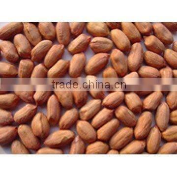 INDIAN BEST RATE JAVA PEANUT KERNEL 60/70