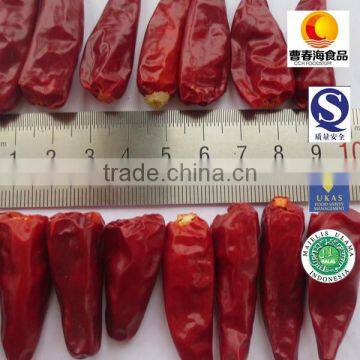 dried red bullet chili spices manufacture