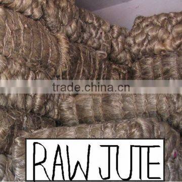 Raw Jute