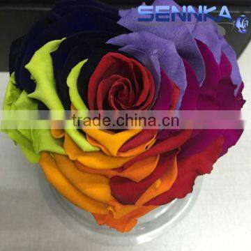 Heartshaped Long life Rose preserved flowers for arrangement