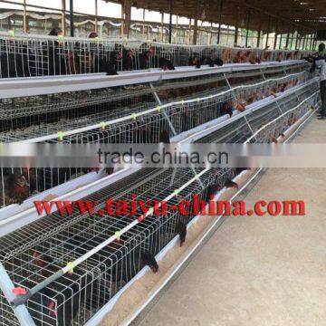 TAIYU Best Sale Chicken Egg Layer Cages System