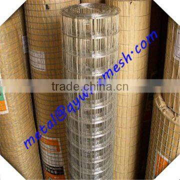 Galvanized 1/4 Inch Galvanized Welded Wire Mesh / Lowest Price Welded Wire Mesh photo-2