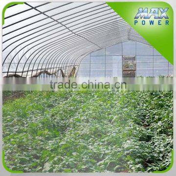 Watermelon Greenhouse With Plastic Covering photo-2