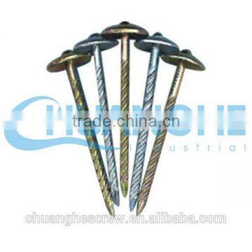 Umbrella Head Roofing Nails With Rubber Washer photo-4