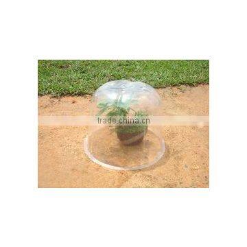 Bell Plastic Garden Cloches HX35011-3 photo-4