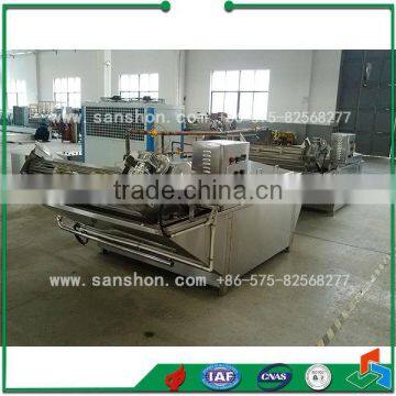 Fruit and Vegetable Ice Water Cooler photo-4