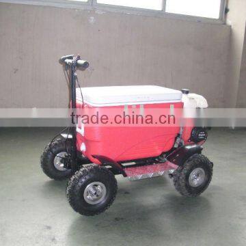 racing cooler buggy/scooter(SX-G110)