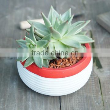 Home design 6 inch small white cement indoor round planter