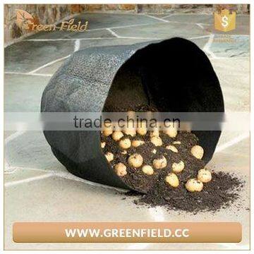 Promotion Felt Grow Bags Hanging Felt Diy Planter for Decoration photo-2