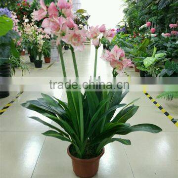 SJ300916 Artificial Indoor Decorative Bonsai Plant With Daffodils Flower photo-2