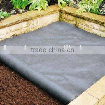 Agricultural pp Weed Mat Black Plastic Ground Cover for Sale photo-4