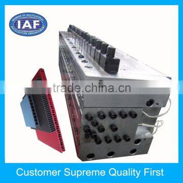 China Customized plastic extrusion mold for sheet hollow product