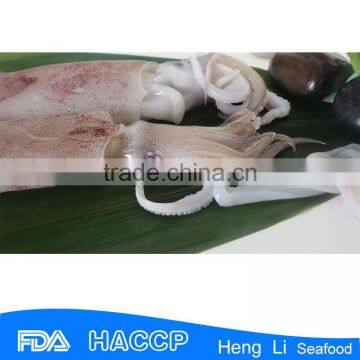 HL0088 Frozen Illex Argentina Squid Low-fat photo-2