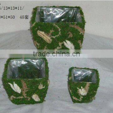 moss basket set