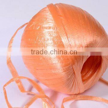 Nylon braided PP Rope