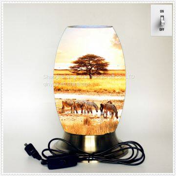 Creative lamp, decorative table lamp, LED desk lamp, South African culture series table lamp (Dzaf027)