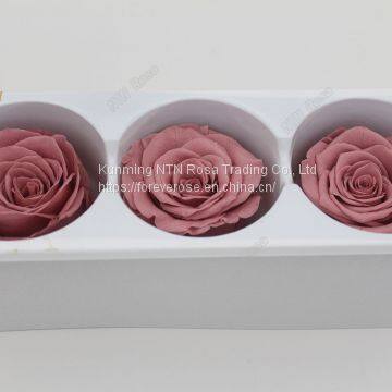 No plastic flower Artificial luxury and colorful preserved natural flowers long life