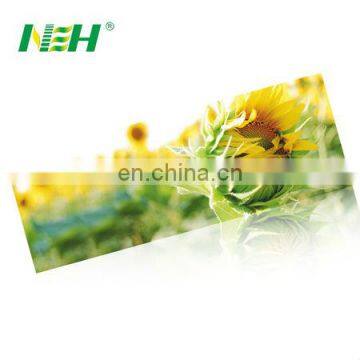 Anti Slip High Quality REACH Custom Print PVC Yoga Mat photo-6