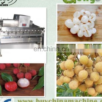 Machines pour éplucher et désnoyer les fruits de longane, éplucheuse de fruits de litchi et équipement pour enlever le noyau, ligne de traitement de jus de litchi photo-4