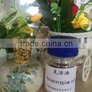 Organic Good Quality of Natural Notopterygium Oil 99% Root Oil photo-3