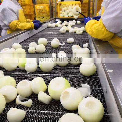 IQF Onion Diced 10*10mm/5*5mm photo-4