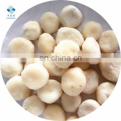 IQF Frozen Water Chestnut Whole/Dices/Slices