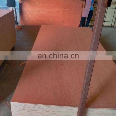 Okoume/Bintangor/Poplar/Birch Plywood 1220*2440*18mm Qingdao plywood  Commercial plywood