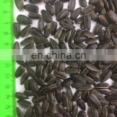Cheap Sunflowerseed Good Price photo-2