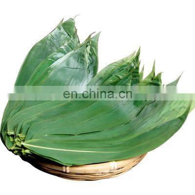 100PCS/Pack Organic Fresh Sushi Bamboo Leaves Food Decoration Leaf