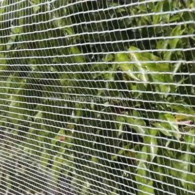 Batawa original drape netting