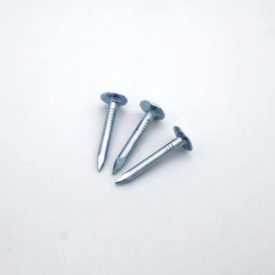 POWER Steel Roofing Felt Nails Supplier 20mm Length for Ceiling Installation photo-4