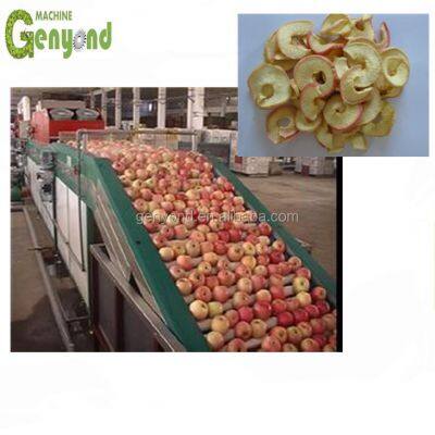 Сушильный шкаф для полнофункциональных промышленных машин по производству яблочных чипсов