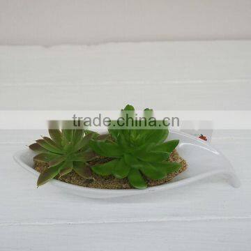 High quality artificial plants mini plastic plants wholesale