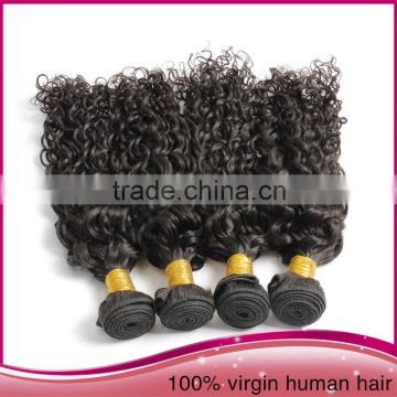 Unprocessed cheap virgin brazilian hair wholesale brazilian hair indian