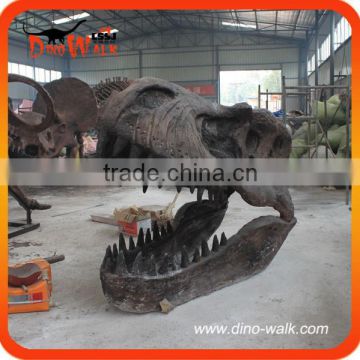 Museum high quality realistic emulation T rex dinosaur head fossil