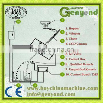 Dry Fruits COLOR Sorting Machine WITH CCD Camera